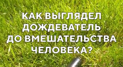 Доисторический дождеватель!